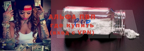 прущие грибы Балахна
