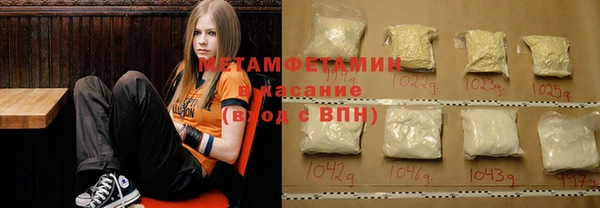 прущие грибы Балахна