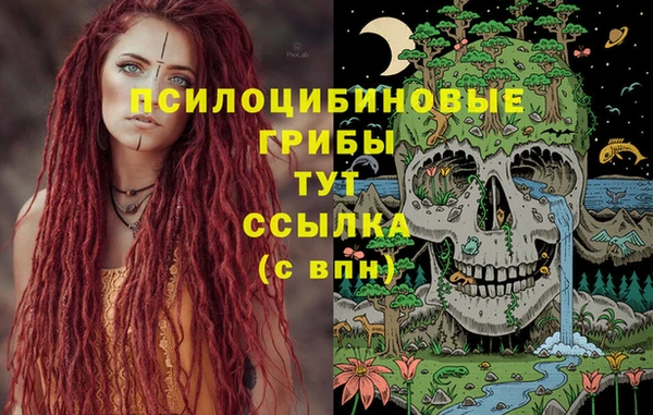 соль ск Балабаново