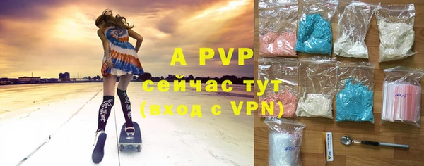 прущие грибы Балахна