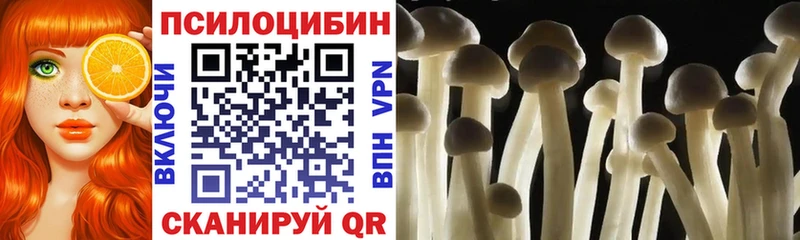 Псилоцибиновые грибы GOLDEN TEACHER  наркошоп  MEGA рабочий сайт  даркнет состав  Светлогорск 