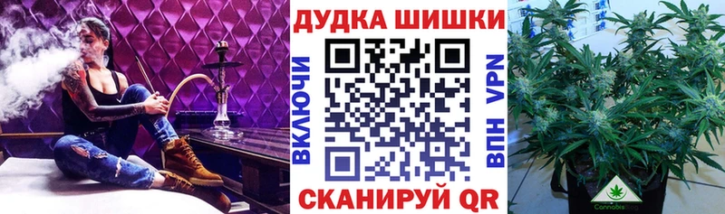 Шишки марихуана OG Kush  купить наркоту  Светлогорск 